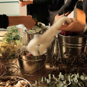 DIY Habitats to Help Your City's Beneficial Birds and Bugs Image